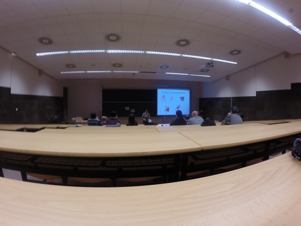 DCIM101GOPRO