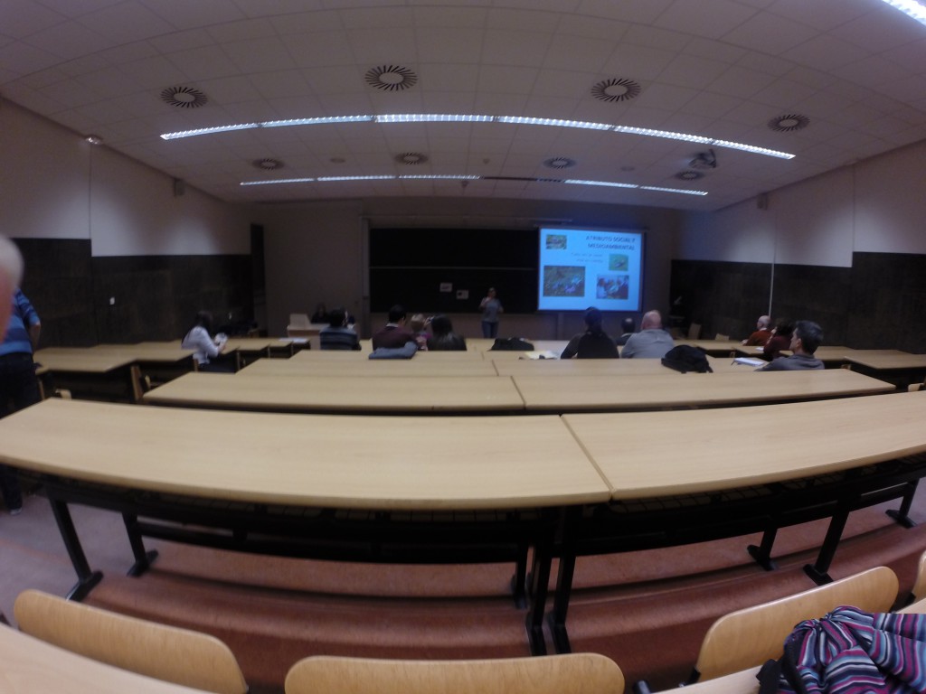 DCIM101GOPRO